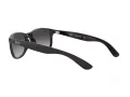 Ray-Ban Andy Zonnebril RB 4202 601/8G