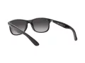 Ray-Ban Andy Zonnebril RB 4202 601/8G