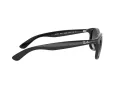 Ray-Ban Andy Zonnebril RB 4202 601/8G