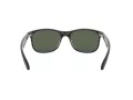 Ray-Ban Andy Zonnebril RB 4202 6069/71
