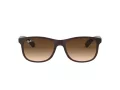 Ray-Ban Andy Zonnebril RB 4202 6073/13