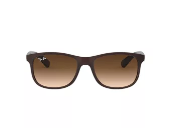 Ray-Ban Andy Zonnebril RB 4202 6073/13