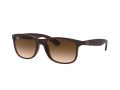 Ray-Ban Andy Zonnebril RB 4202 6073/13
