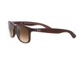 Ray-Ban Andy Zonnebril RB 4202 6073/13