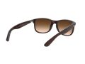 Ray-Ban Andy Zonnebril RB 4202 6073/13