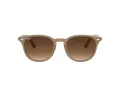 Ray-Ban Zonnebril 4259 616613