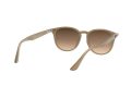Ray-Ban Zonnebril RB 4259 6166/13