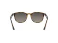 Ray-Ban Zonnebril RB 4259 710/11