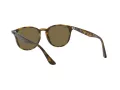 Ray-Ban Zonnebril RB 4259 710/73