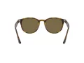 Ray-Ban Zonnebril RB 4259 710/73