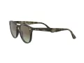 Ray-Ban Zonnebril RB 4259 731/E8
