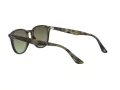 Ray-Ban Zonnebril RB 4259 731/E8