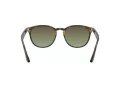 Ray-Ban Zonnebril RB 4259 731/E8