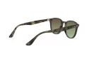 Ray-Ban Zonnebril RB 4259 731/E8