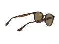 Ray-Ban Zonnebril RB 4305 710/73