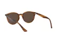 Ray-Ban Zonnebril RB 4305 820/73