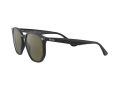 Ray-Ban Zonnebril RB 4306 601/9A