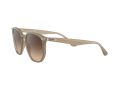 Ray-Ban Zonnebril RB 4306 616613
