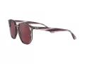 Ray-Ban Zonnebril RB 4306 6431/75