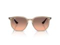 Ray-Ban Zonnebril RB 4306 678846