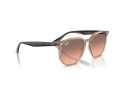 Ray-Ban Zonnebril RB 4306 678846