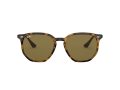 Ray-Ban Zonnebril RB 4306 710/73