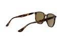 Ray-Ban Zonnebril RB 4306 710/73