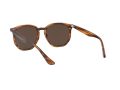 Ray-Ban Zonnebril RB 4306 820/73