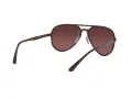 Ray-Ban Zonnebril RB 4320/CH 710/6B