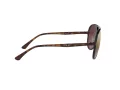 Ray-Ban Zonnebril RB 4320/CH 710/6B
