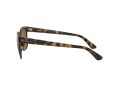 Ray-Ban Zonnebril RB 4323 710/83