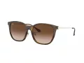Ray-Ban Zonnebril RB 4333D 710/13