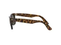 Ray-Ban Wayfarer Ease Zonnebril RB 4340 710