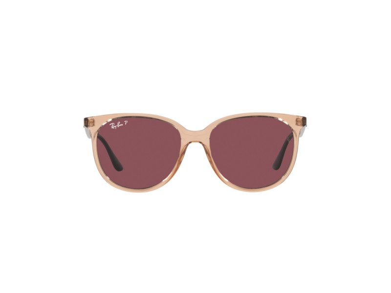 Ray-Ban Zonnebril RB 4378 6602/5Q