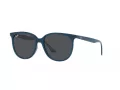 Ray-Ban Zonnebril RB 4378 669487