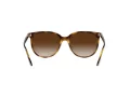 Ray-Ban Zonnebril 4378 710/13