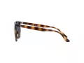 Ray-Ban Zonnebril RB 4378 710/80
