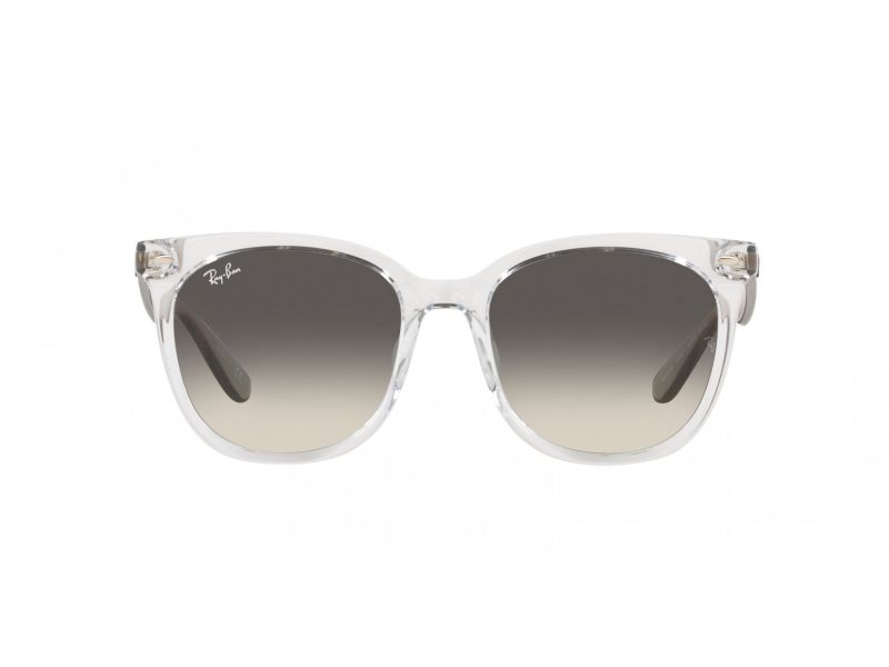 Ray-Ban Zonnebril RB 4379D 659811