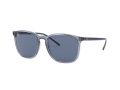 Ray-Ban Zonnebril RB 4387 639980