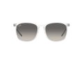 Ray-Ban Zonnebril RB 4387 6477/11