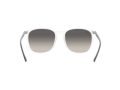 Ray-Ban Zonnebril RB 4387 6477/11