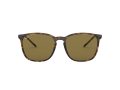 Ray-Ban Zonnebril RB 4387 710/73
