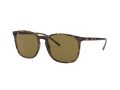 Ray-Ban Zonnebril RB 4387 710/73