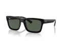 Ray-Ban Warren Zonnebril RB 4396 667771