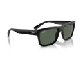 Ray-Ban Warren Zonnebril RB 4396 667771