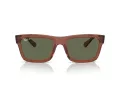 Ray-Ban Warren Zonnebril RB 4396 66789A