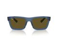 Ray-Ban Warren Zonnebril RB 0RB4396 668073