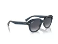 Ray-Ban Erik Zonnebril RB 0RB4398 667678
