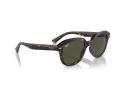 Ray-Ban Erik Zonnebril RB 0RB4398 902/31