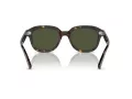 Ray-Ban Erik Zonnebril RB 0RB4398 902/31